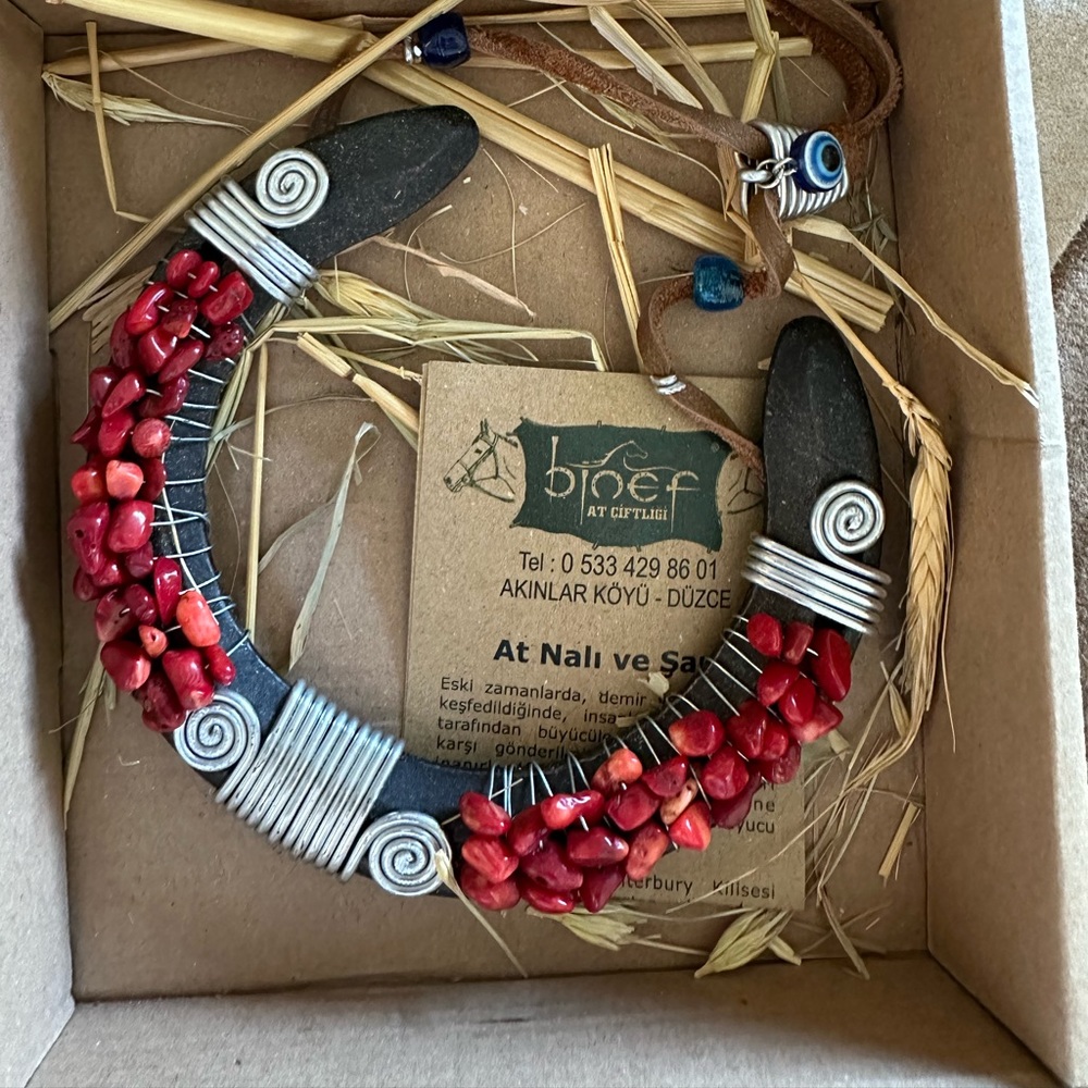 Horseshoe Wall Decor